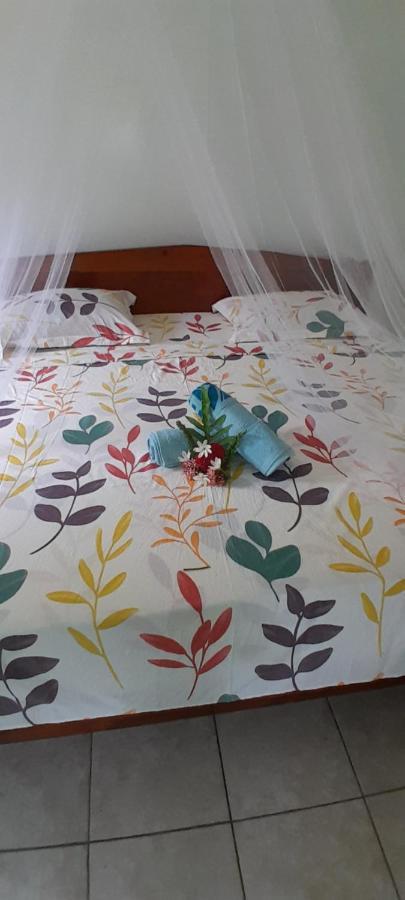 Appartement Penu Maurua 1 à Te-Fare-Arii Extérieur photo